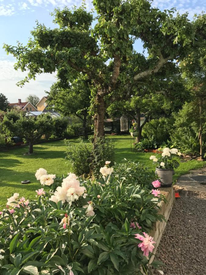 B&B Bland Ormbunkar Och Rosor 팔켄베리 외부 사진